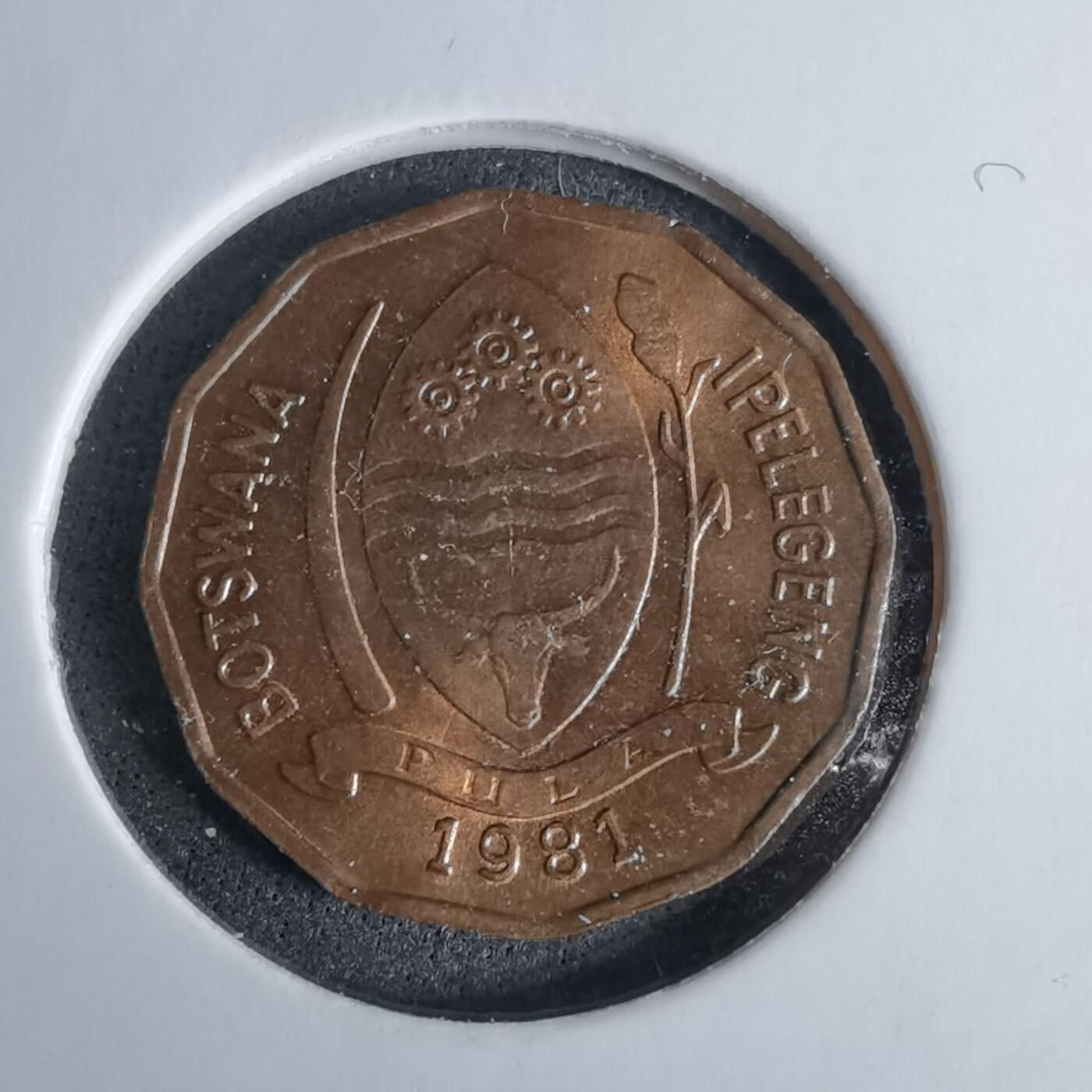 沼泽如烟--第1038场