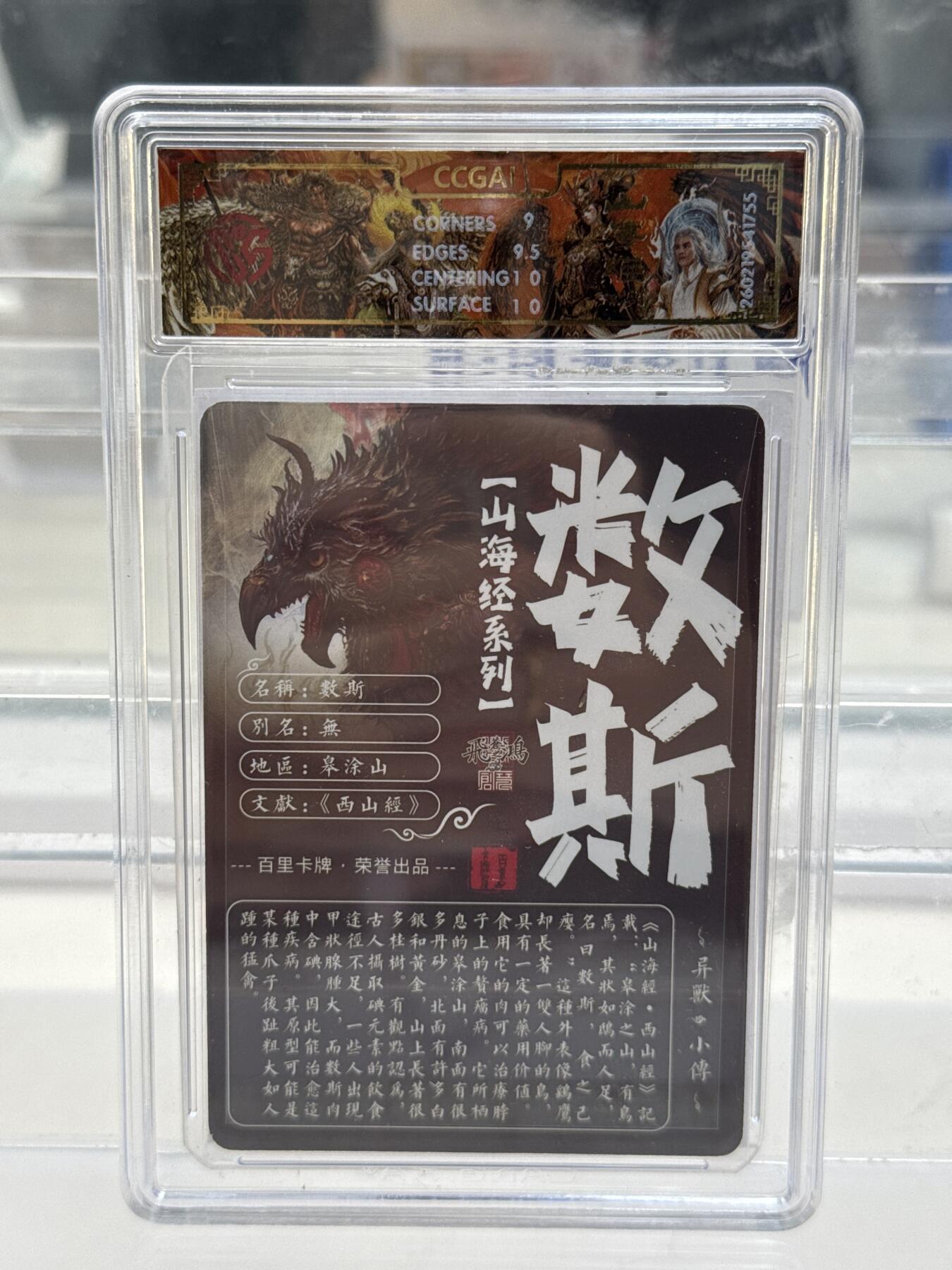 大麦马年第一场