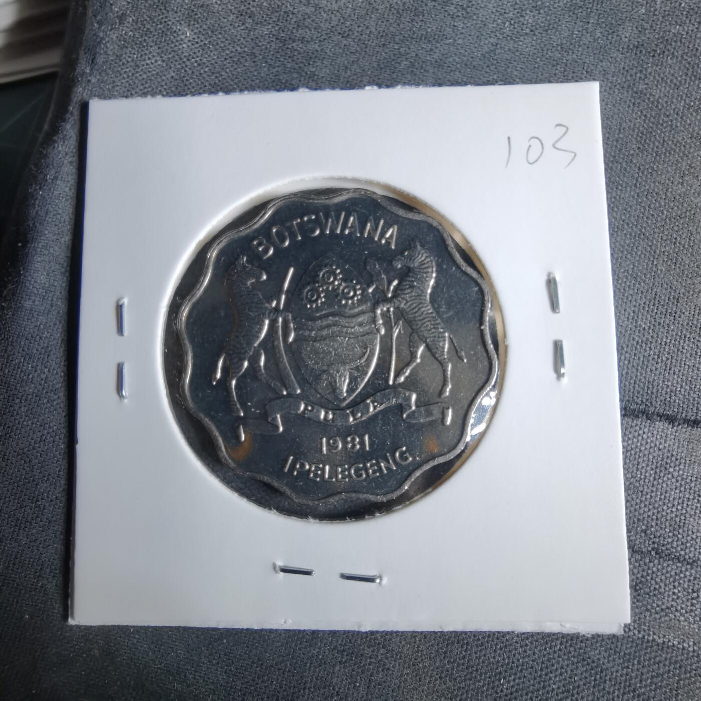 沼泽如烟--第1038场