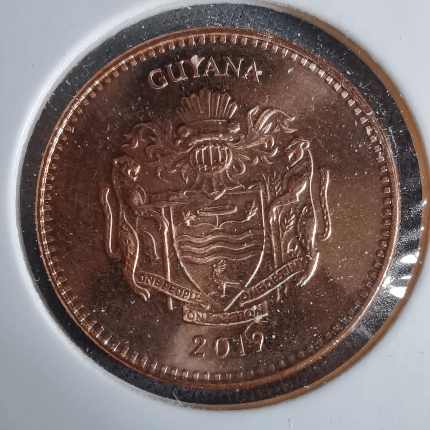 沼泽如烟--第1038场 圭亚那2019年五元