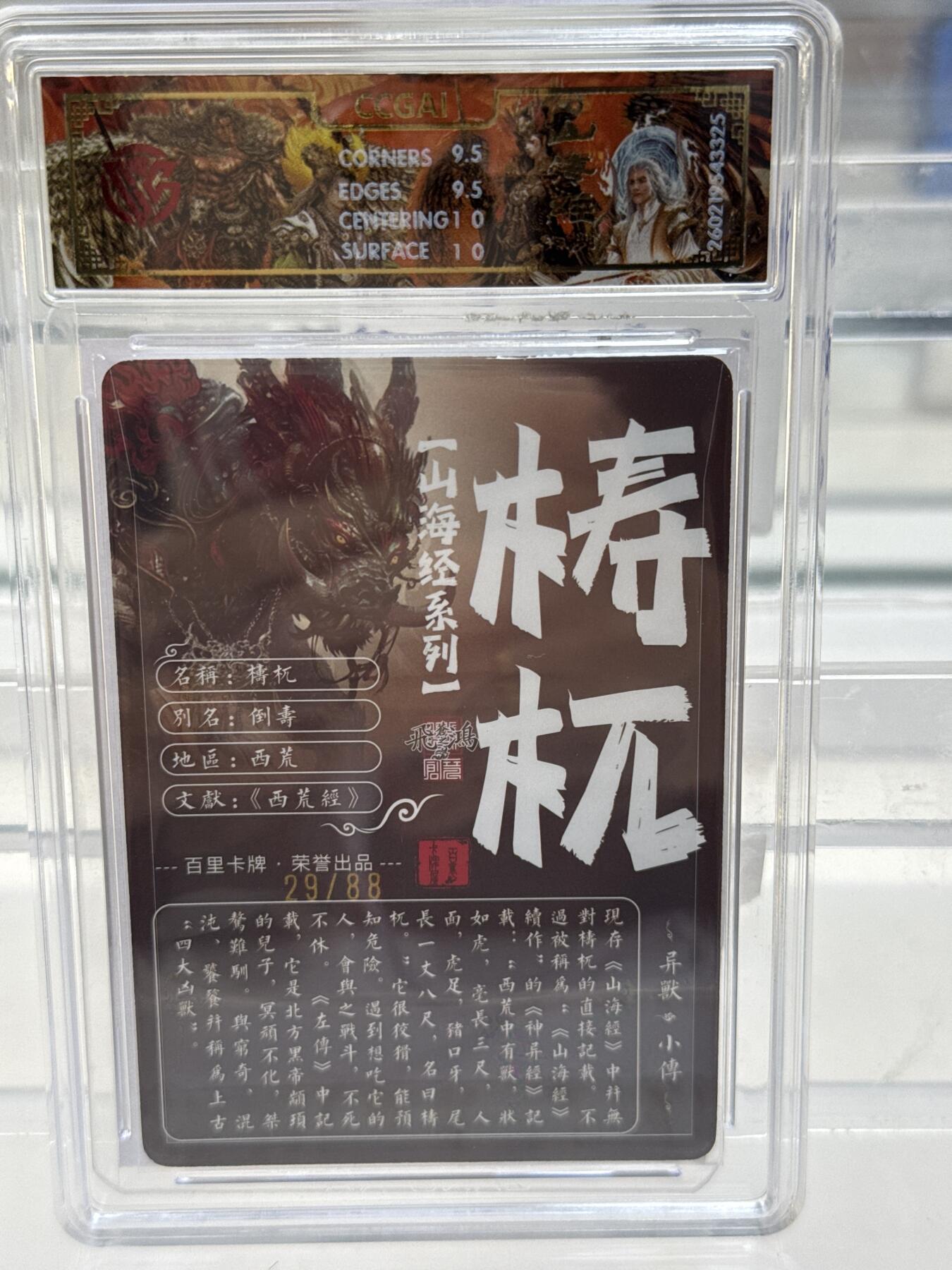 大麦马年第一场