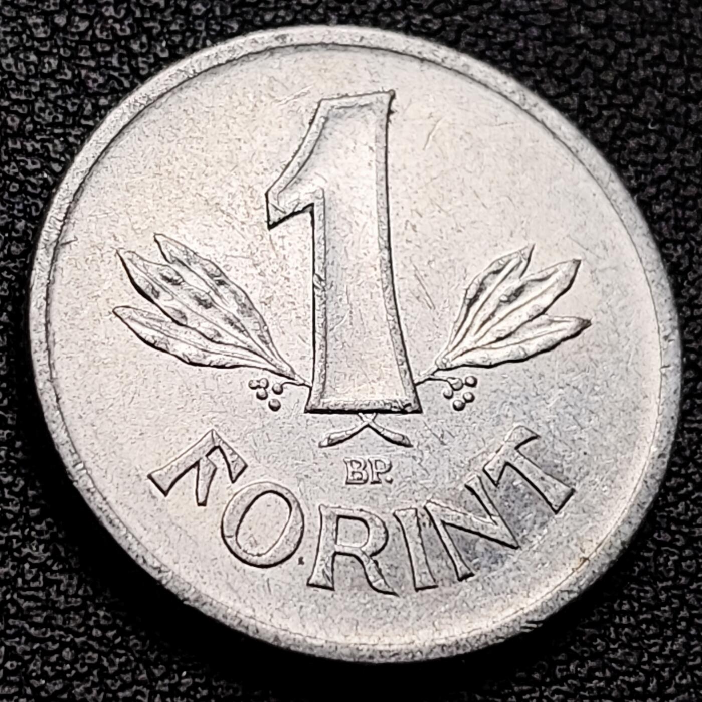 泉币菌-第217场-拍品多 请提前出价 。