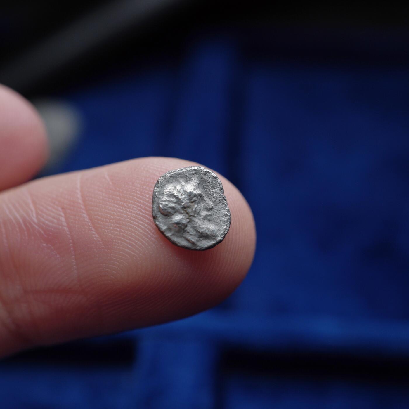 琋语集藏2026年04月欧洲古典打制币拍卖 古希腊西西里岛-酒神？与野猪1/2奥波银币