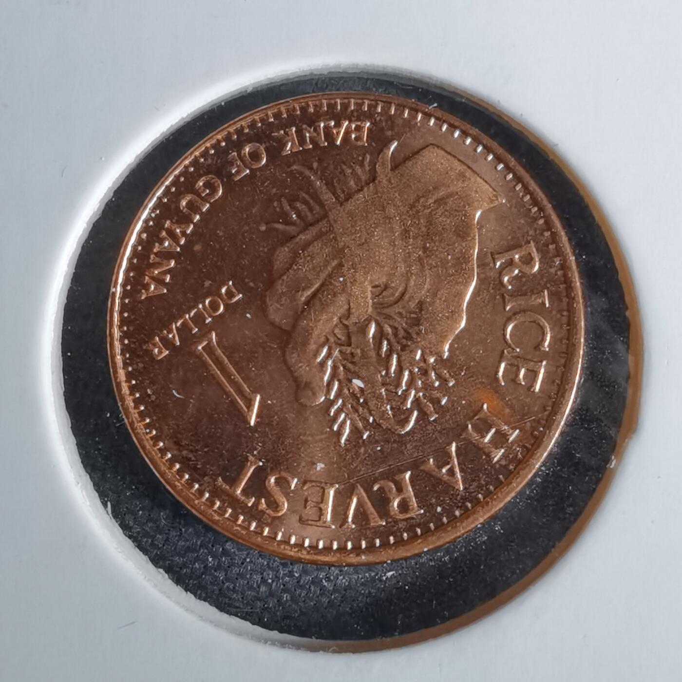 沼泽如烟--第1038场 圭亚那2015年一元