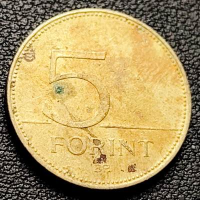 泉币菌-第217场-拍品多 请提前出价 - 匈牙利5福林 白鹭 重4.2克 直径21.2毫米