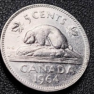 泉币菌-第217场-拍品多 请提前出价 - 1964年 加拿大5分 海狸动物 21mm 