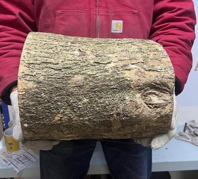 零元拍：金丝楠带水波圆墩凳子摆件，重量约11公斤。高：295/240/265MM。 - 零元拍：金丝楠带水波圆墩凳子摆件，重量约11公斤。高：295/240/265MM。