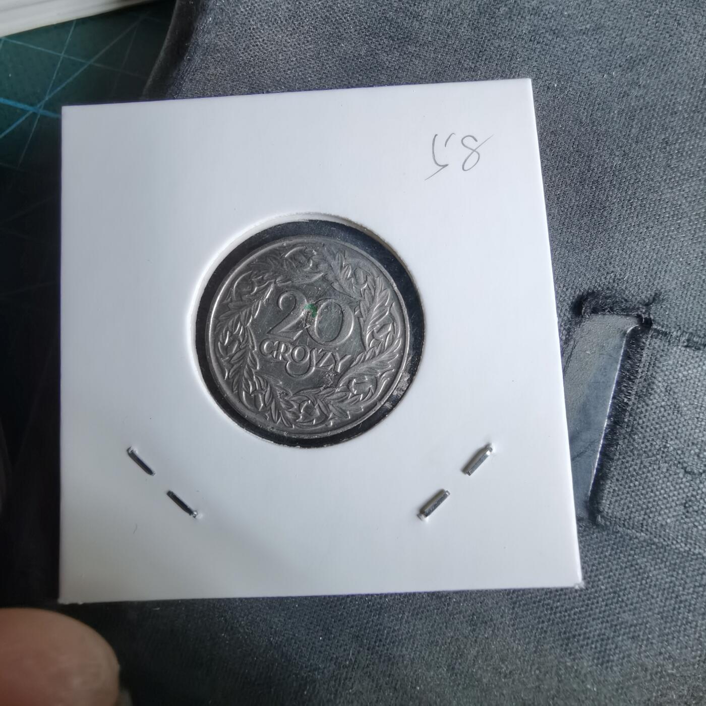 沼泽如烟--第1038场