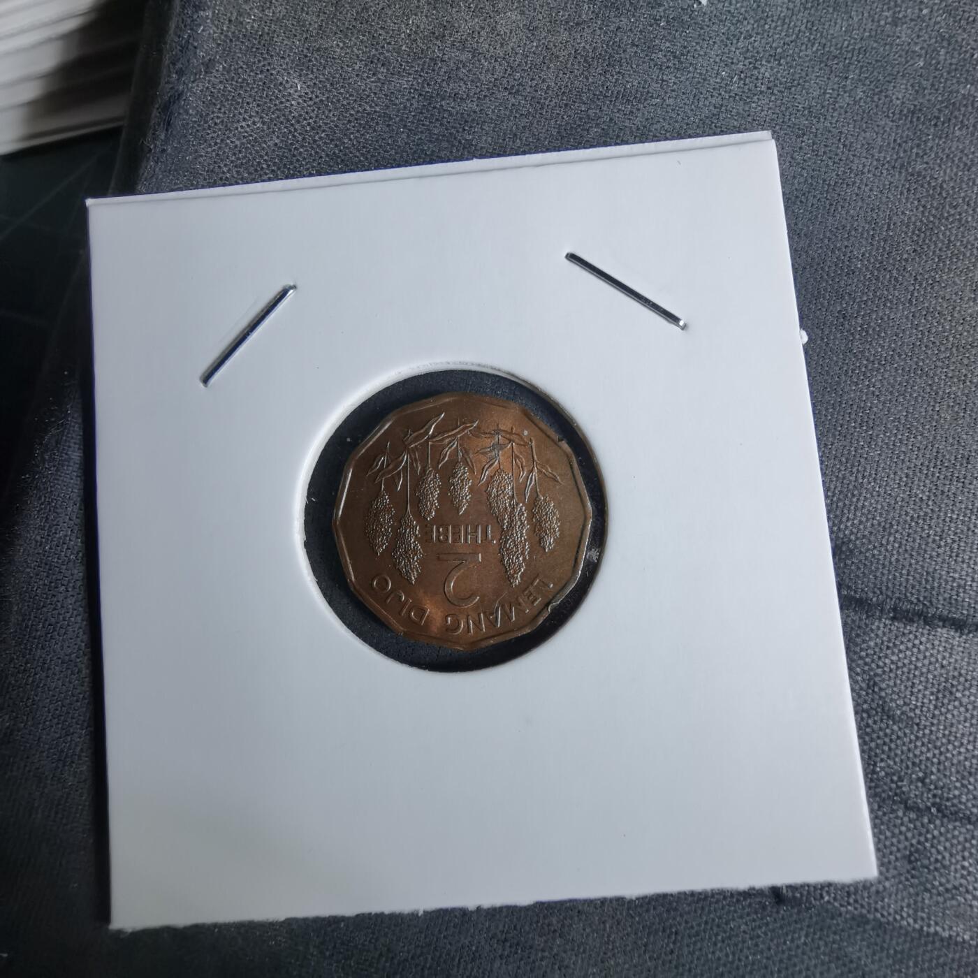 沼泽如烟--第1038场