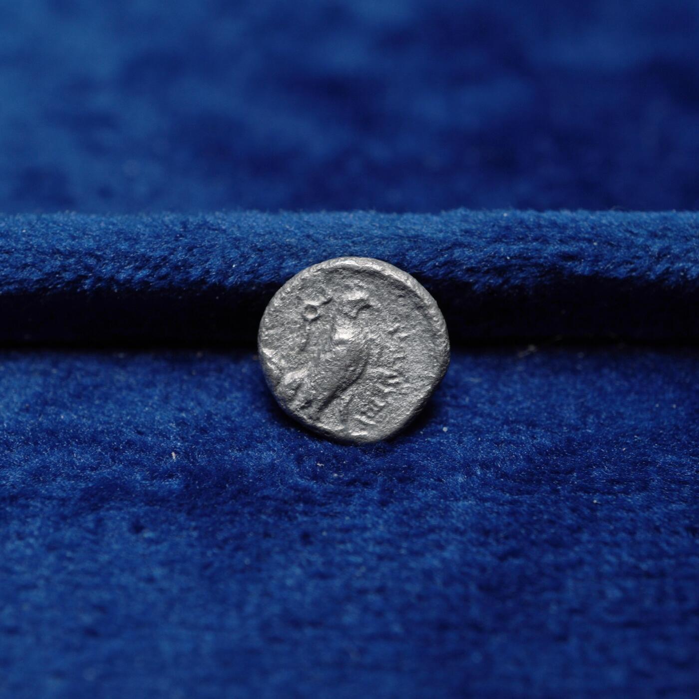 琋语集藏2026年04月欧洲古典打制币拍卖 古希腊巴克特里亚王国-雅典娜与雄鹰奥波银币