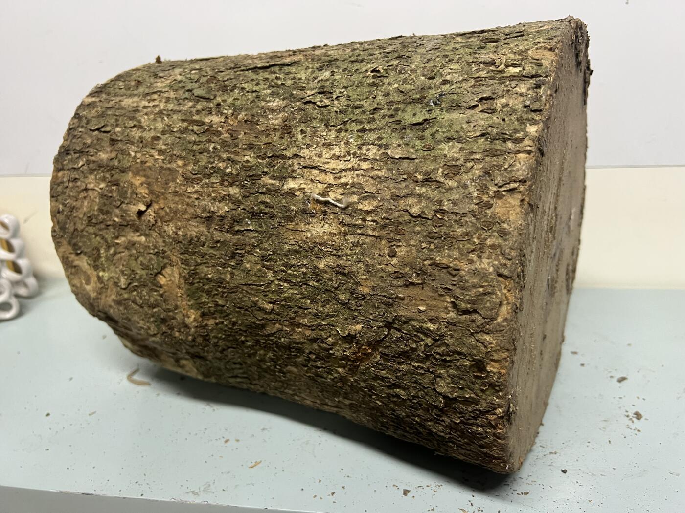 零元拍：金丝楠带水波圆墩凳子摆件，重量约11公斤。高：295/240/265MM。