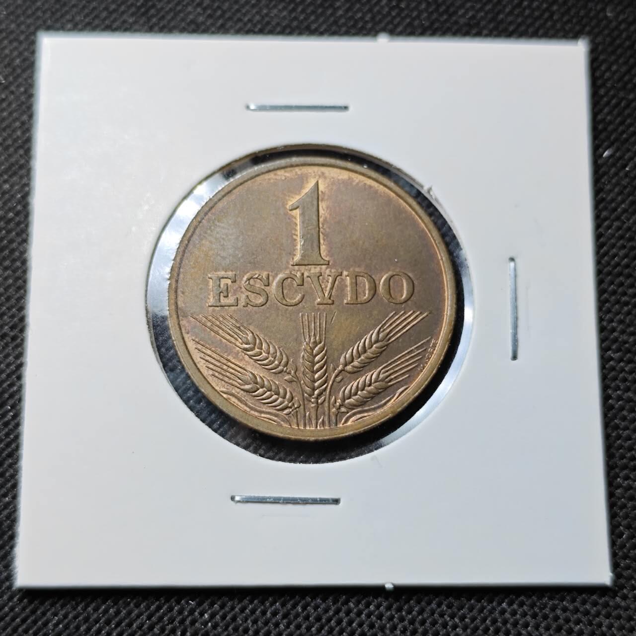 KK钱币收藏小铺  第411期 2月预留时间 周末发货