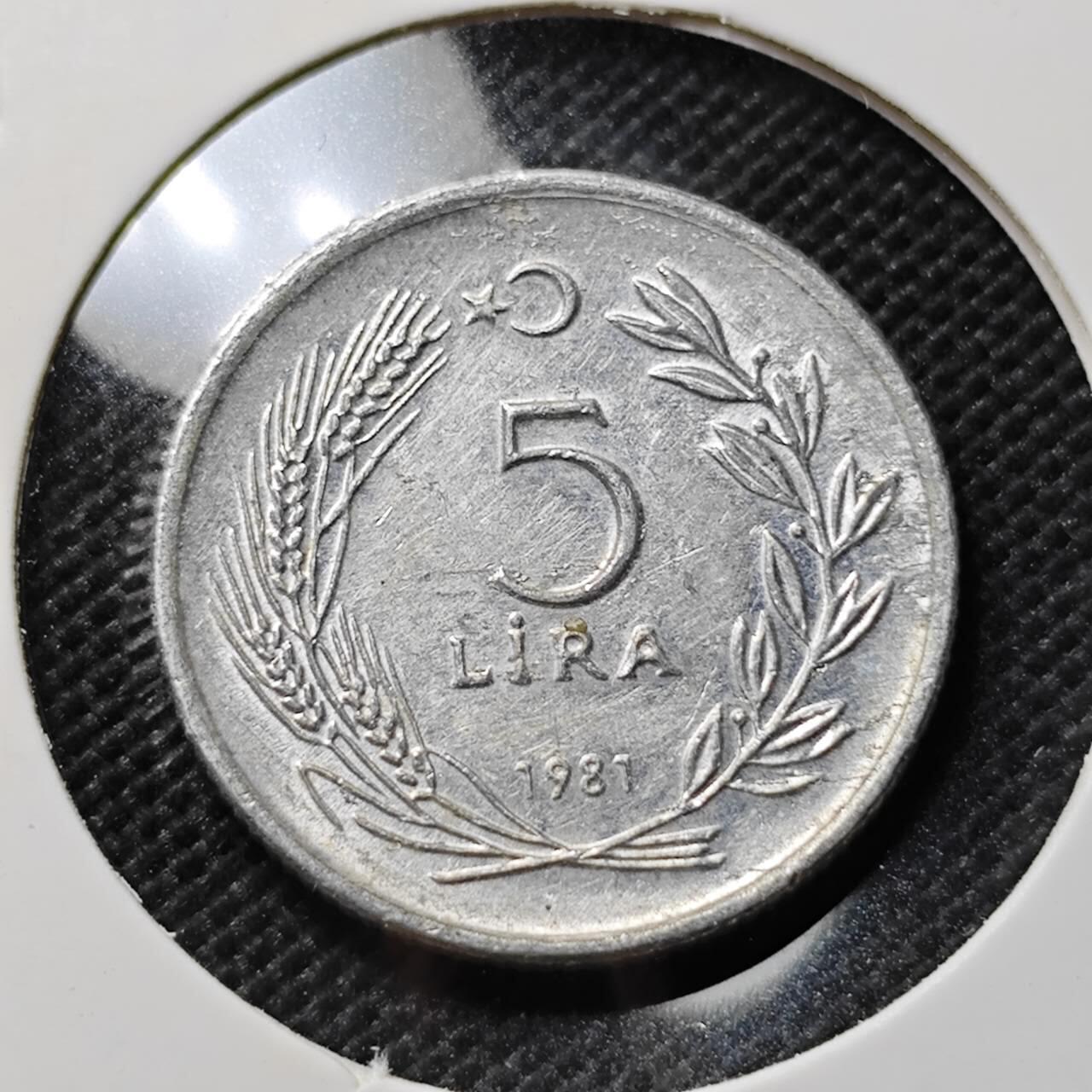 KK钱币收藏小铺  第410期 2月预留时间 周末发货