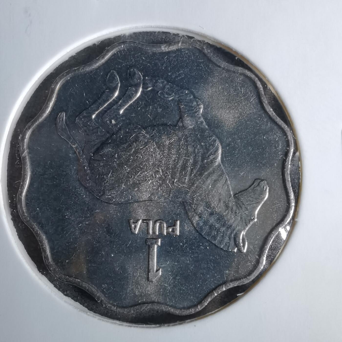 沼泽如烟--第1038场