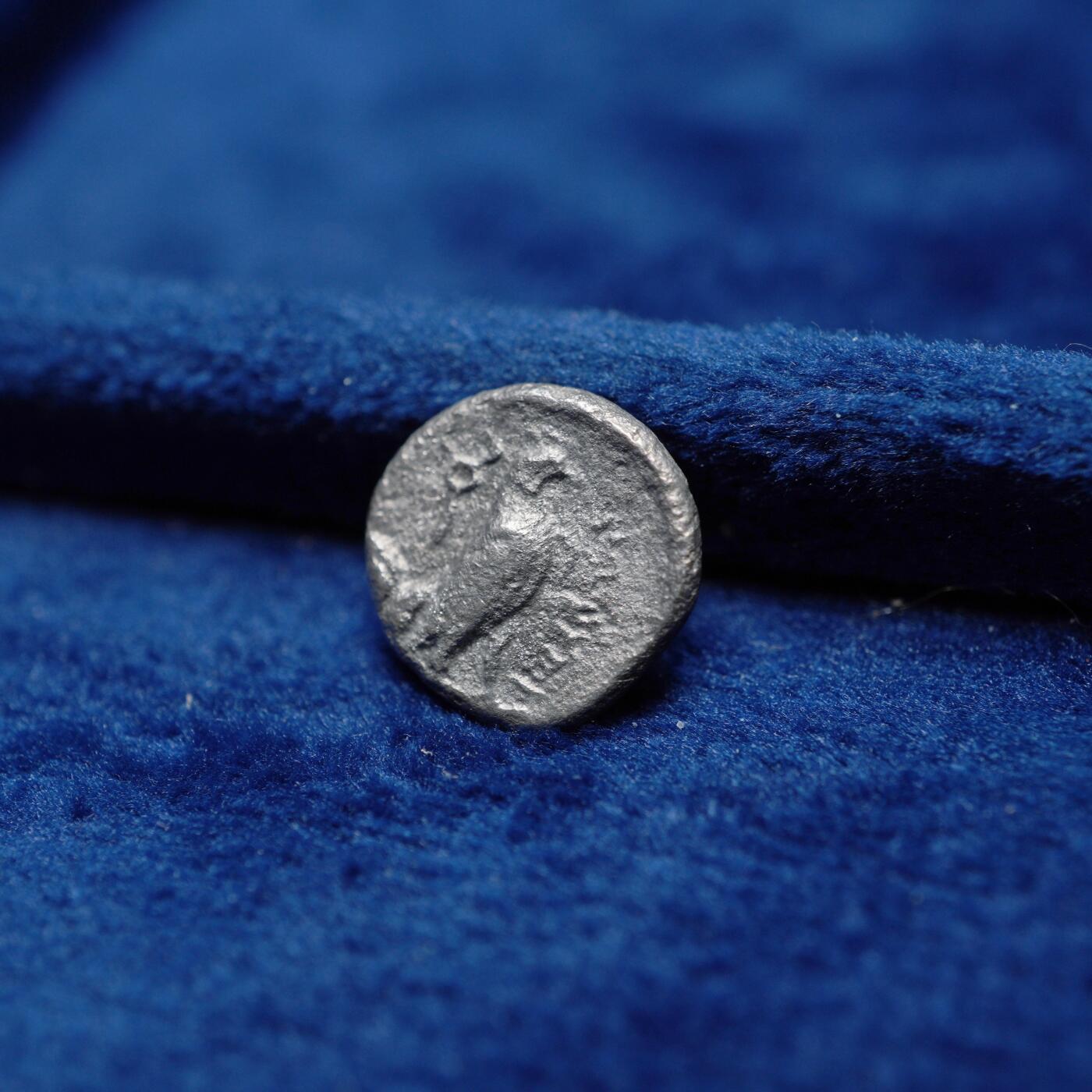 琋语集藏2026年04月欧洲古典打制币拍卖 古希腊巴克特里亚王国-雅典娜与雄鹰奥波银币