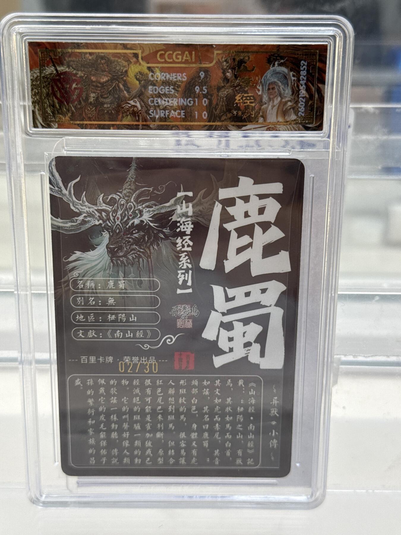 大麦马年第一场