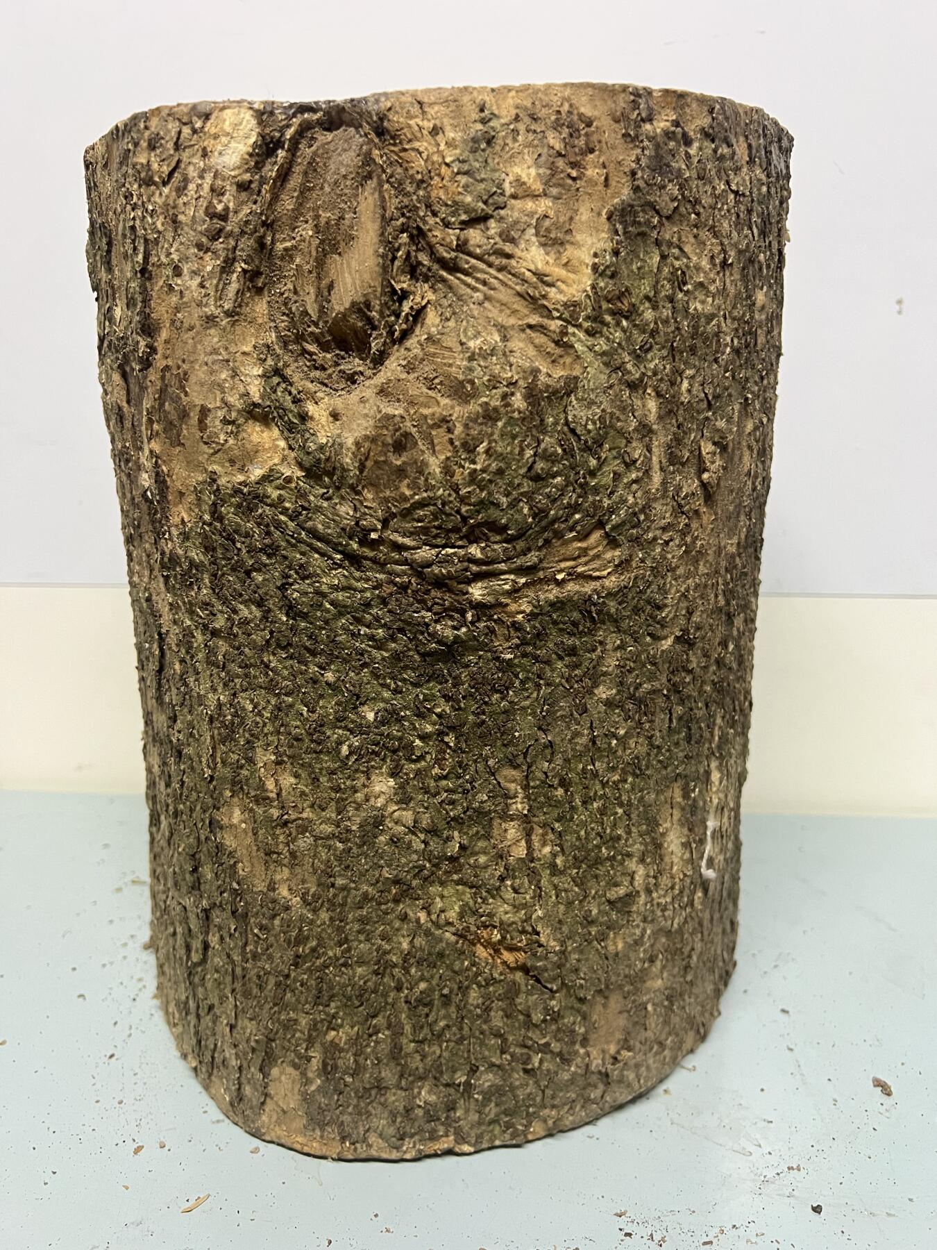 零元拍：金丝楠带水波圆墩凳子摆件，重量约11公斤。高：295/240/265MM。