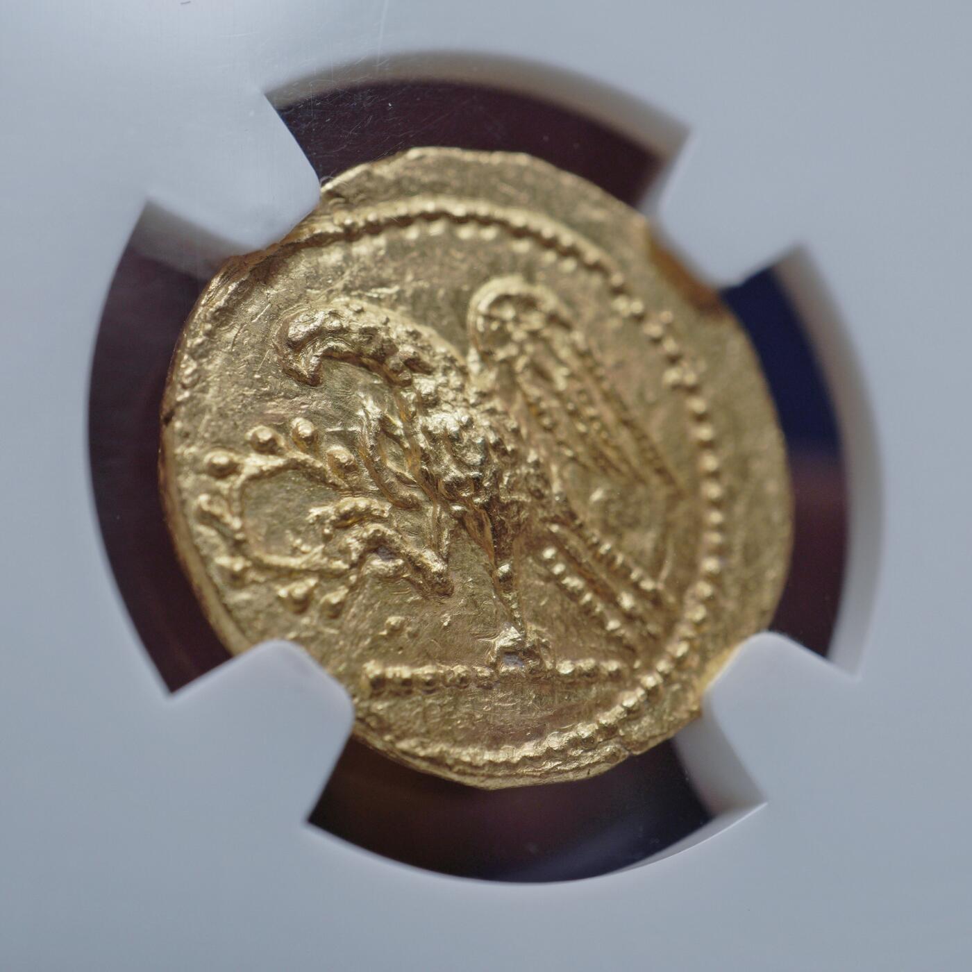 琋语集藏2026年04月欧洲古典打制币拍卖 希腊化时期-色雷斯 科松1斯塔特金币（NGC评级）