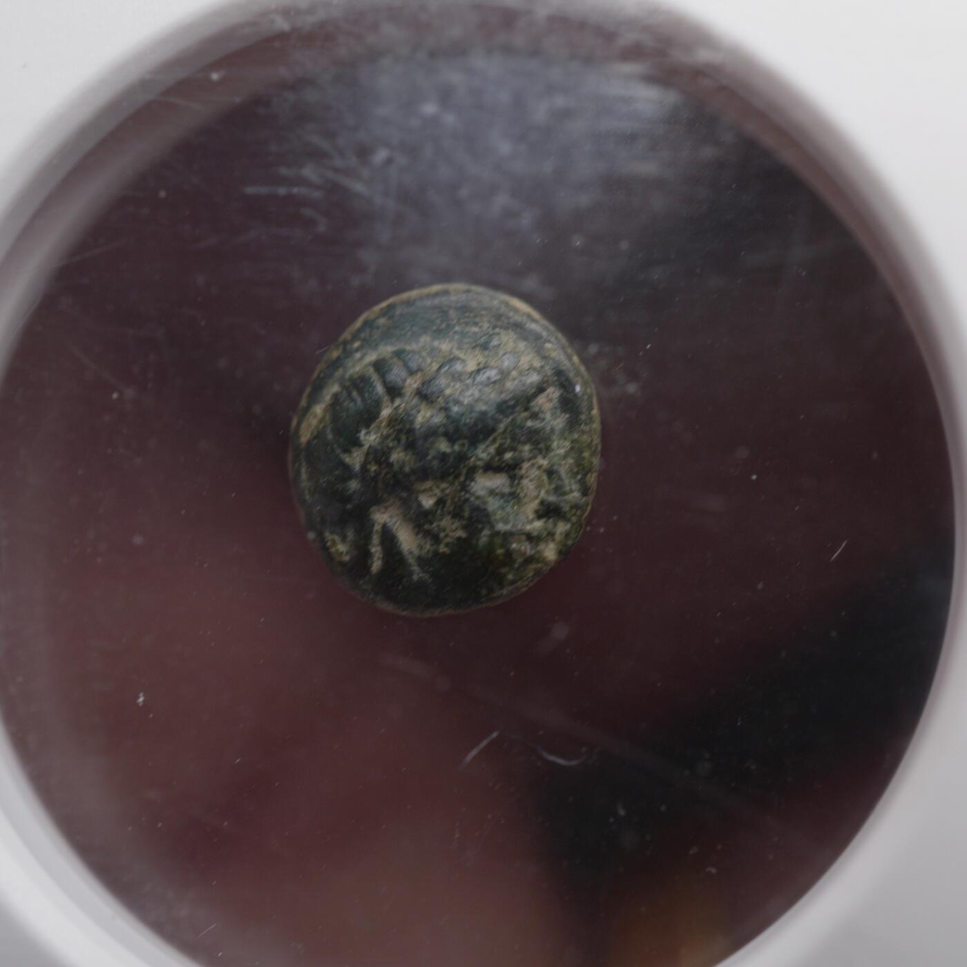 琋语集藏2026年04月欧洲古典打制币拍卖 埃奥利斯群岛-纳索斯 阿波罗与黑豹铜币（NGC评级）