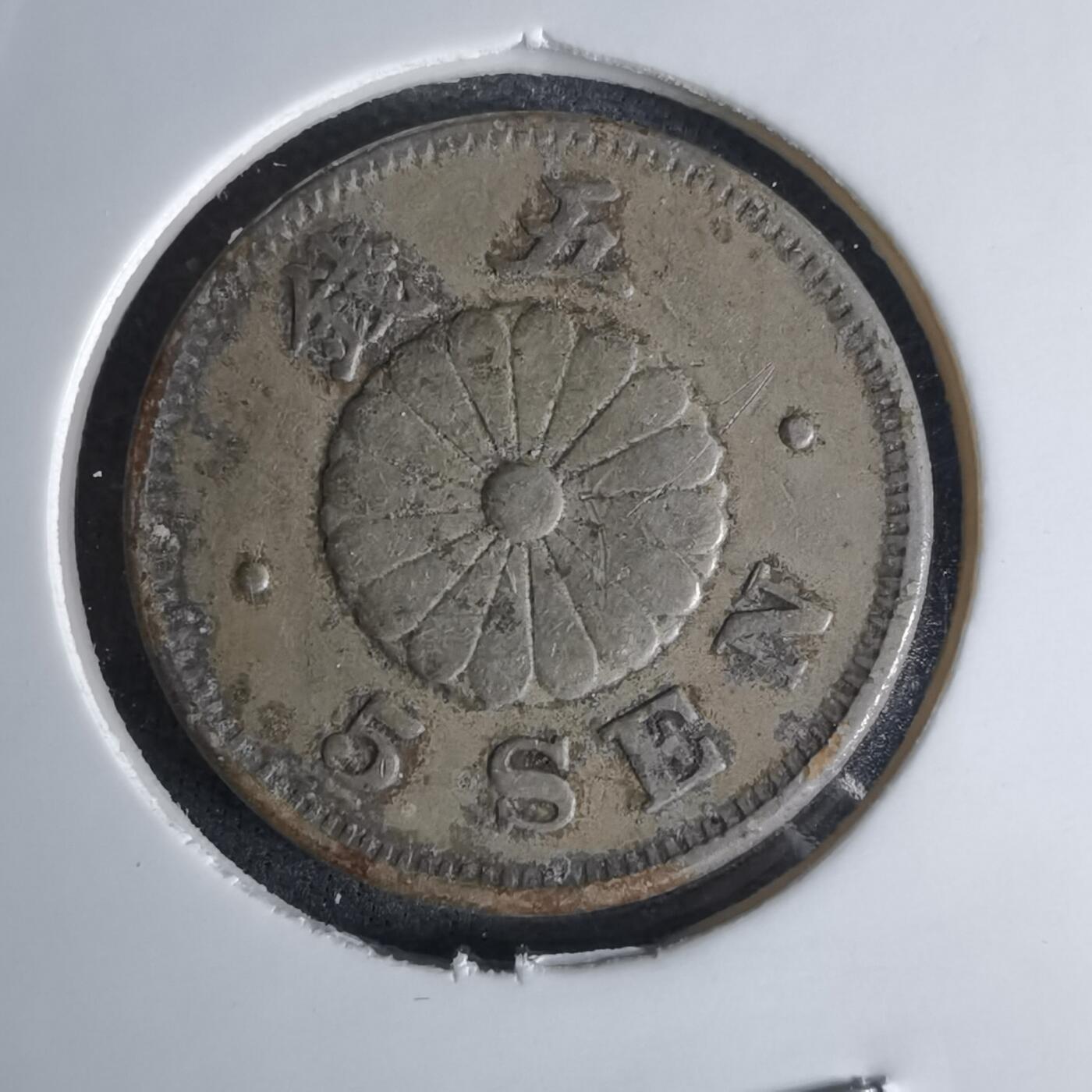 沼泽如烟--第1036场