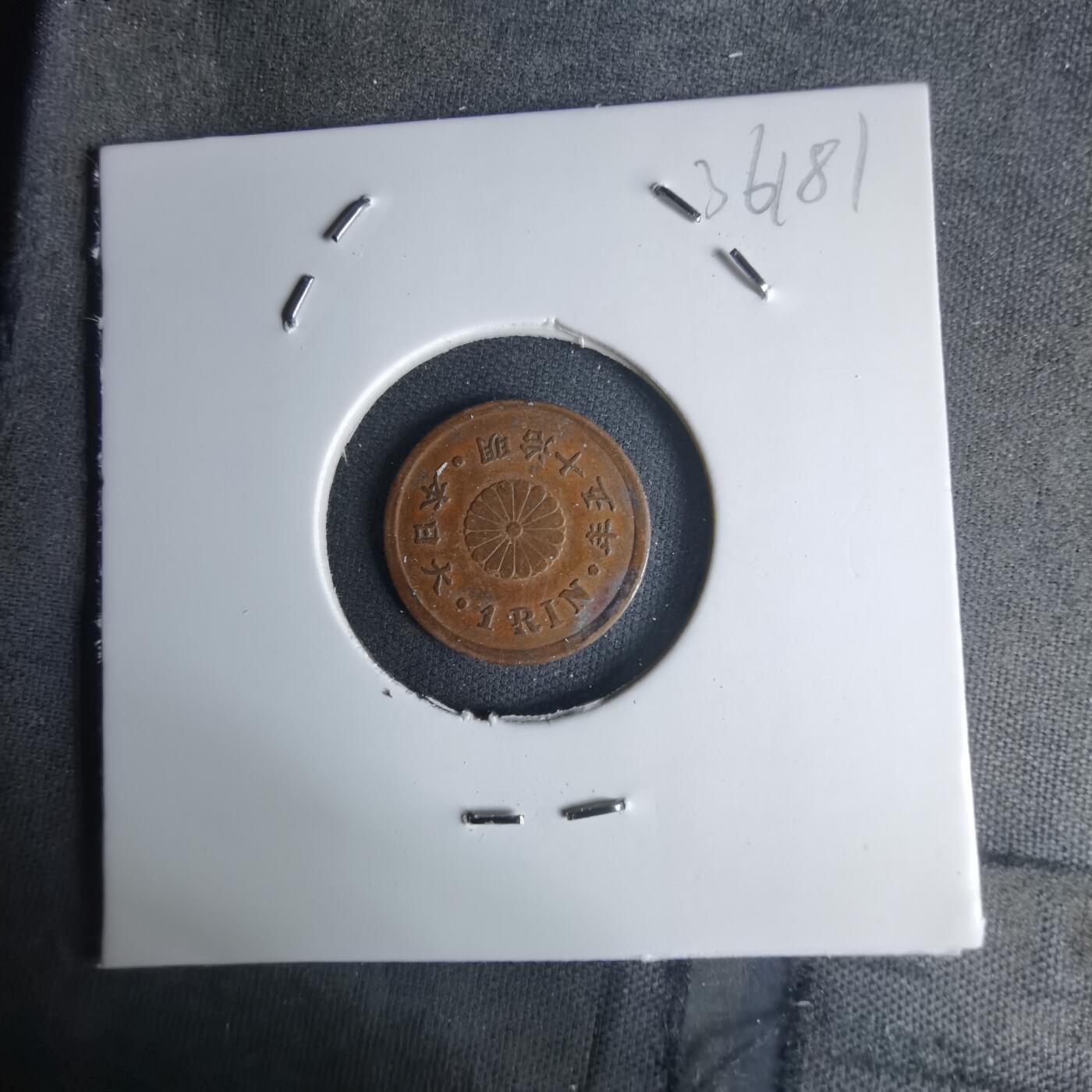 沼泽如烟--第1036场