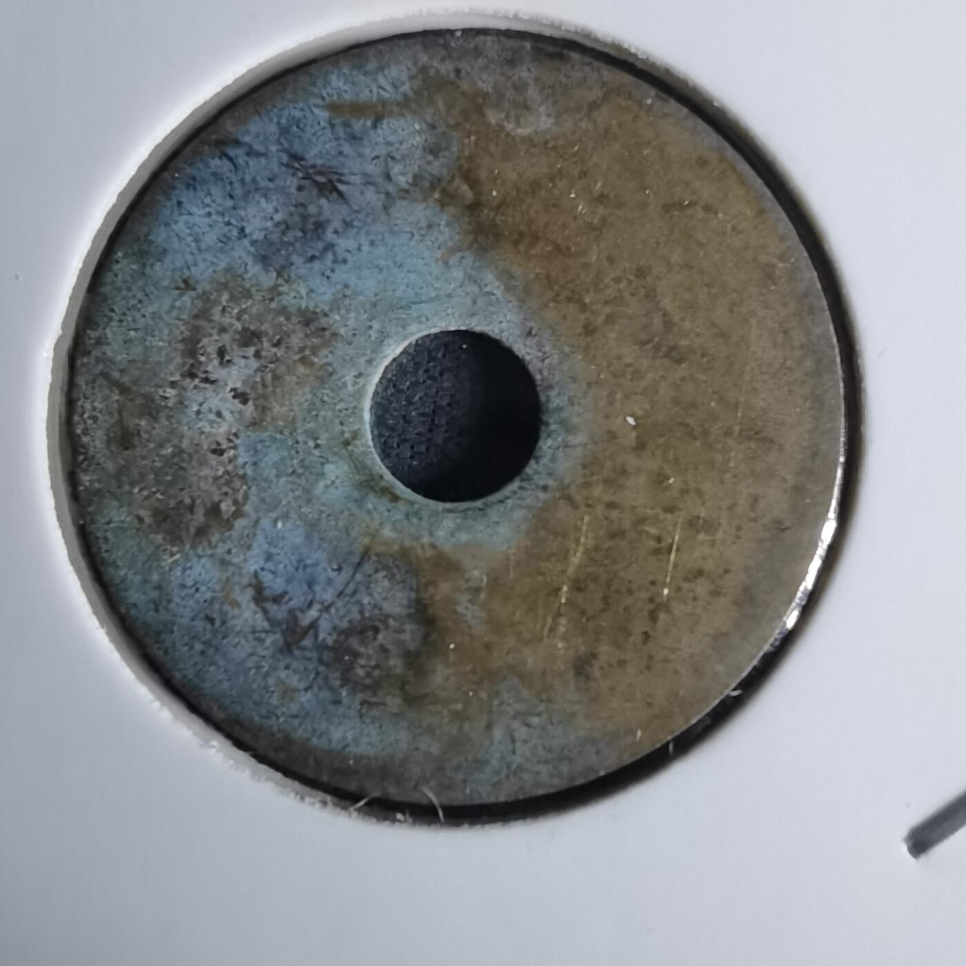 沼泽如烟--第1036场 投入物