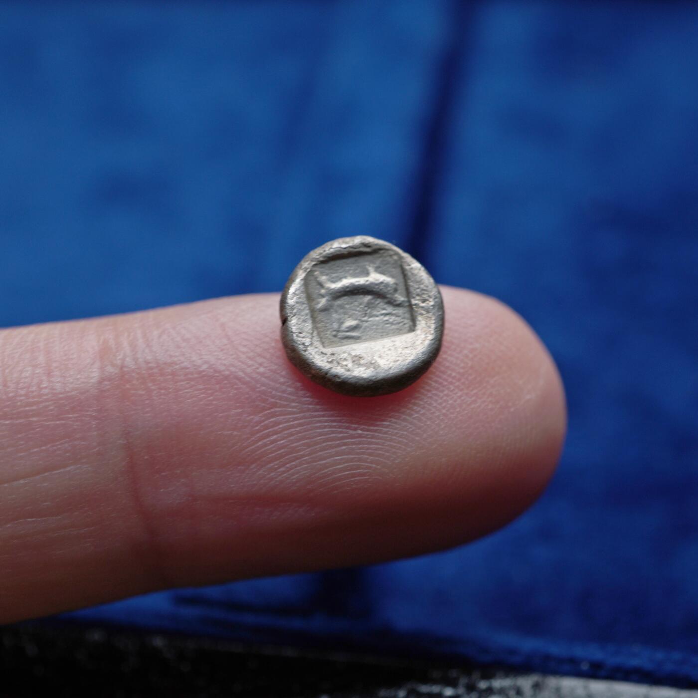 琋语集藏2026年04月欧洲古典打制币拍卖 古希腊阿提卡地区-海龟与海豚1奥波银币