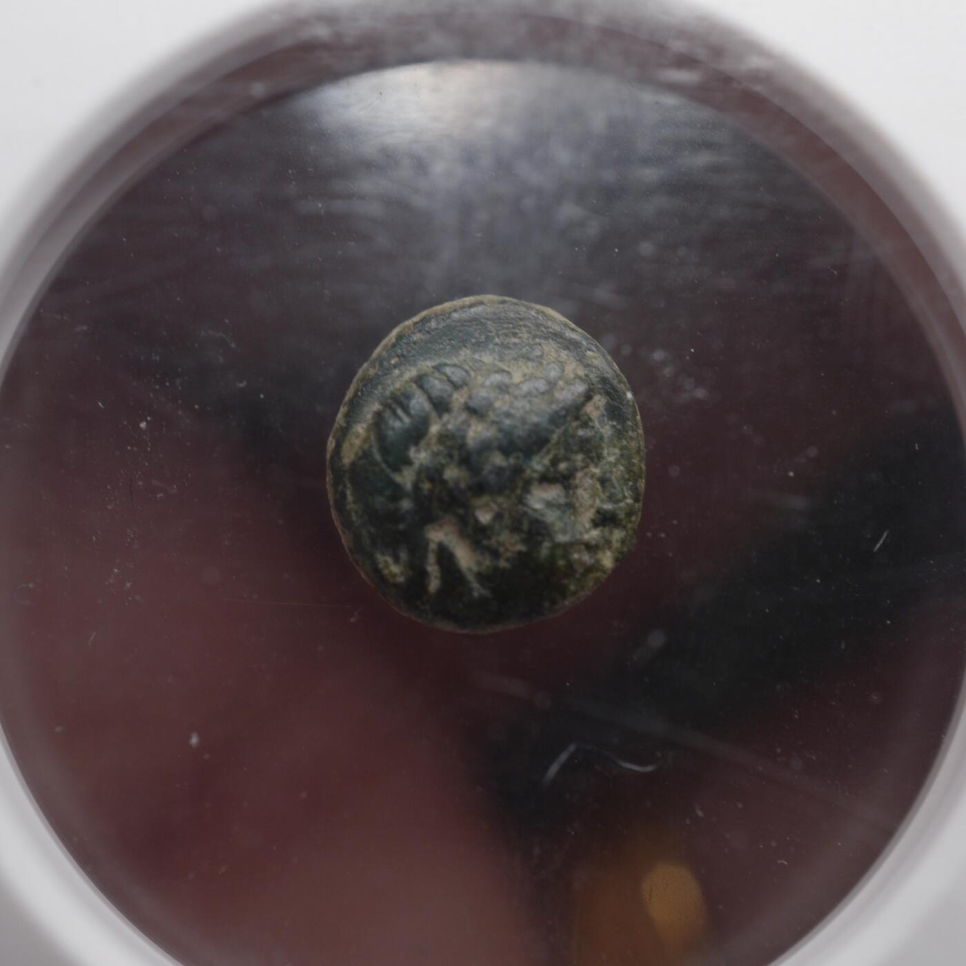 琋语集藏2026年04月欧洲古典打制币拍卖 埃奥利斯群岛-纳索斯 阿波罗与黑豹铜币（NGC评级）