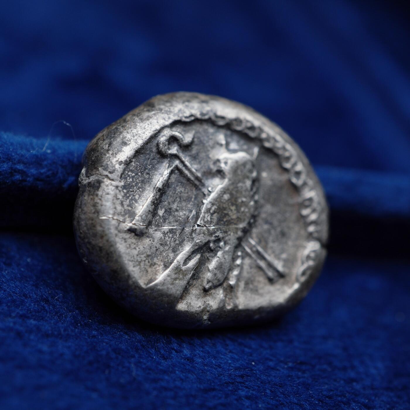 琋语集藏2026年04月欧洲古典打制币拍卖 古希腊腓尼基地区-推罗城猫头鹰与海马2德拉克马银币（重版）