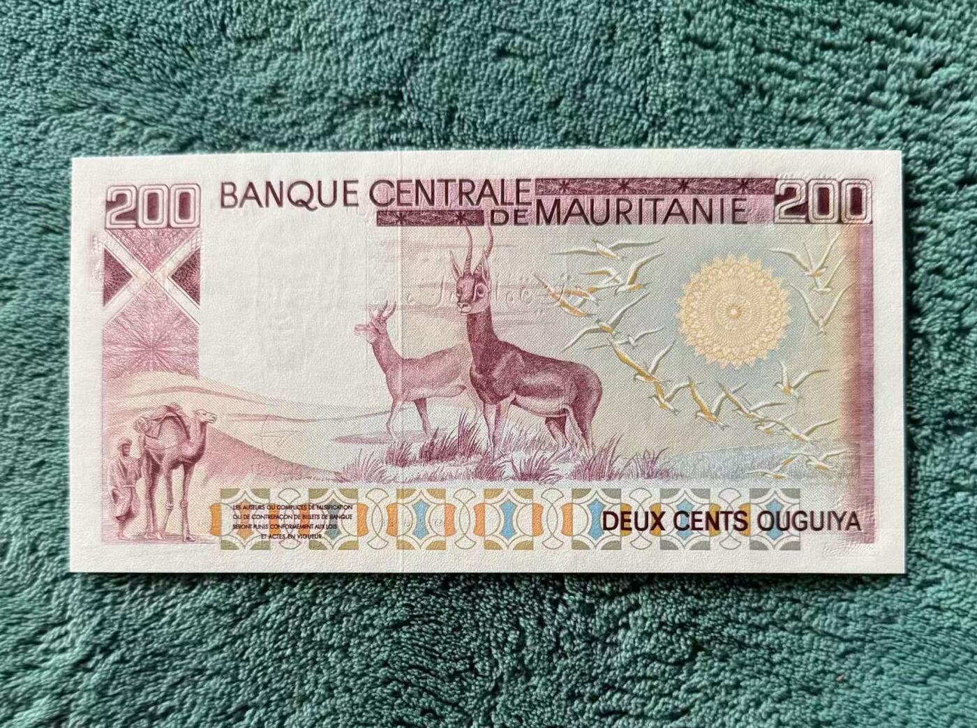 【礼羽收藏】🌏世界钱币拍卖第130期