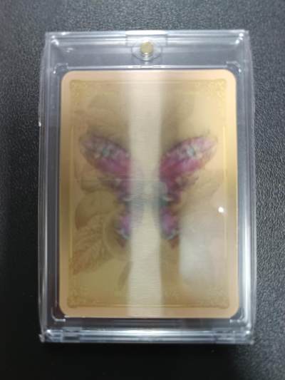 天玑星卡拍第182期《3.30周一截拍》持续收拍收评中 满赠卡需备注 - 坦尔木远方少女 蝴蝶光栅卡 卡砖封装