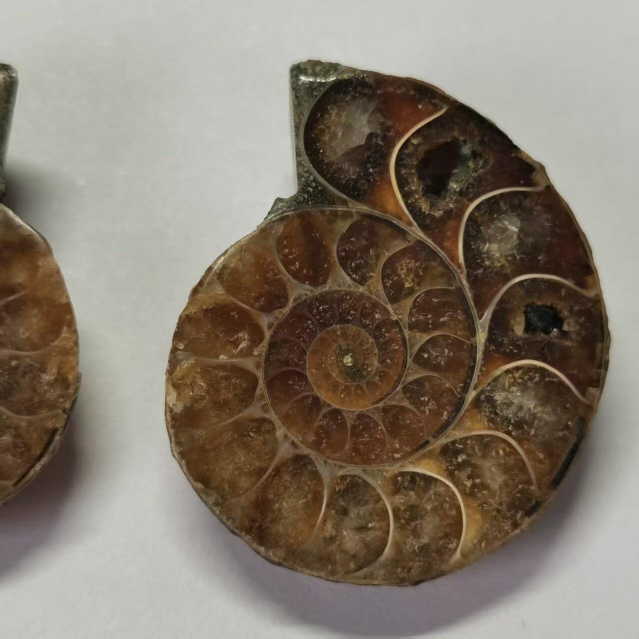 七河·水晶矿标化石杂件小拍（总第43期）（周四结标） 藏家出品X789（10）马达加斯加中生代菊石化石对开品 