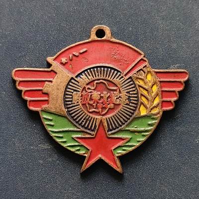 【全场包邮】纯粹捡漏拍516场【专场】 - 【纪念章】中国解放东北纪念章