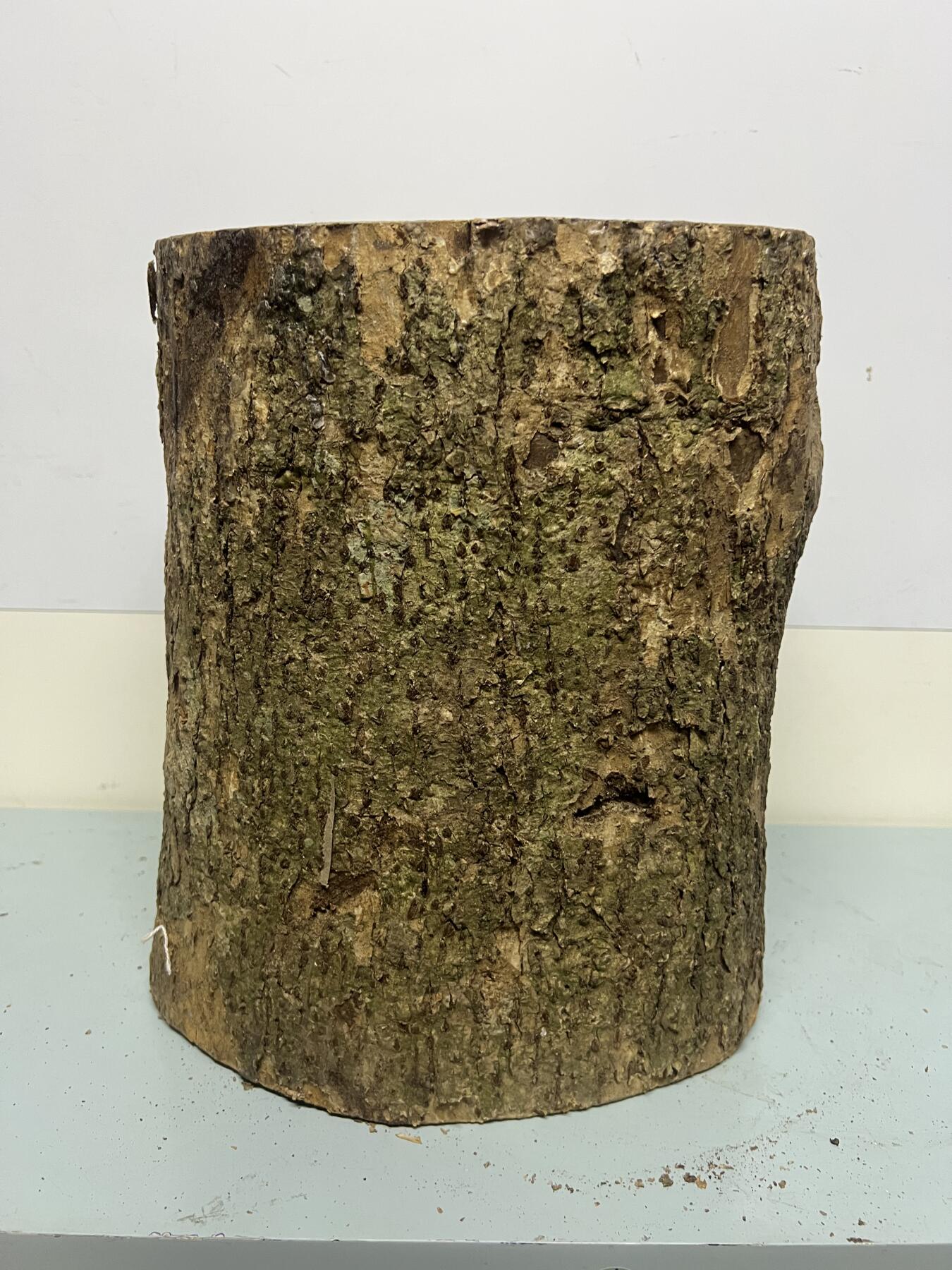 零元拍：金丝楠带水波圆墩凳子摆件，重量约11公斤。高：295/240/265MM。