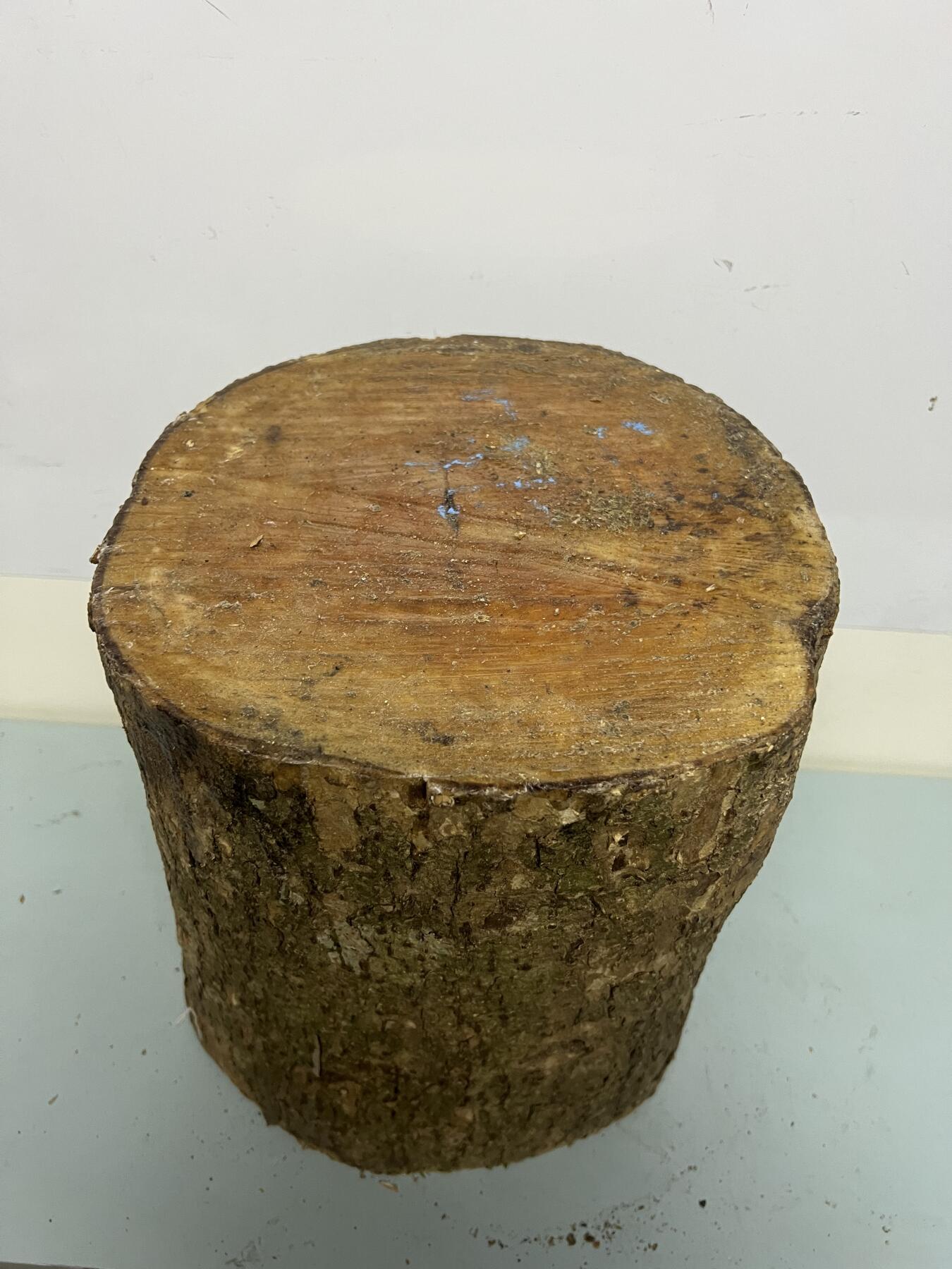 零元拍：金丝楠带水波圆墩凳子摆件，重量约11公斤。高：295/240/265MM。