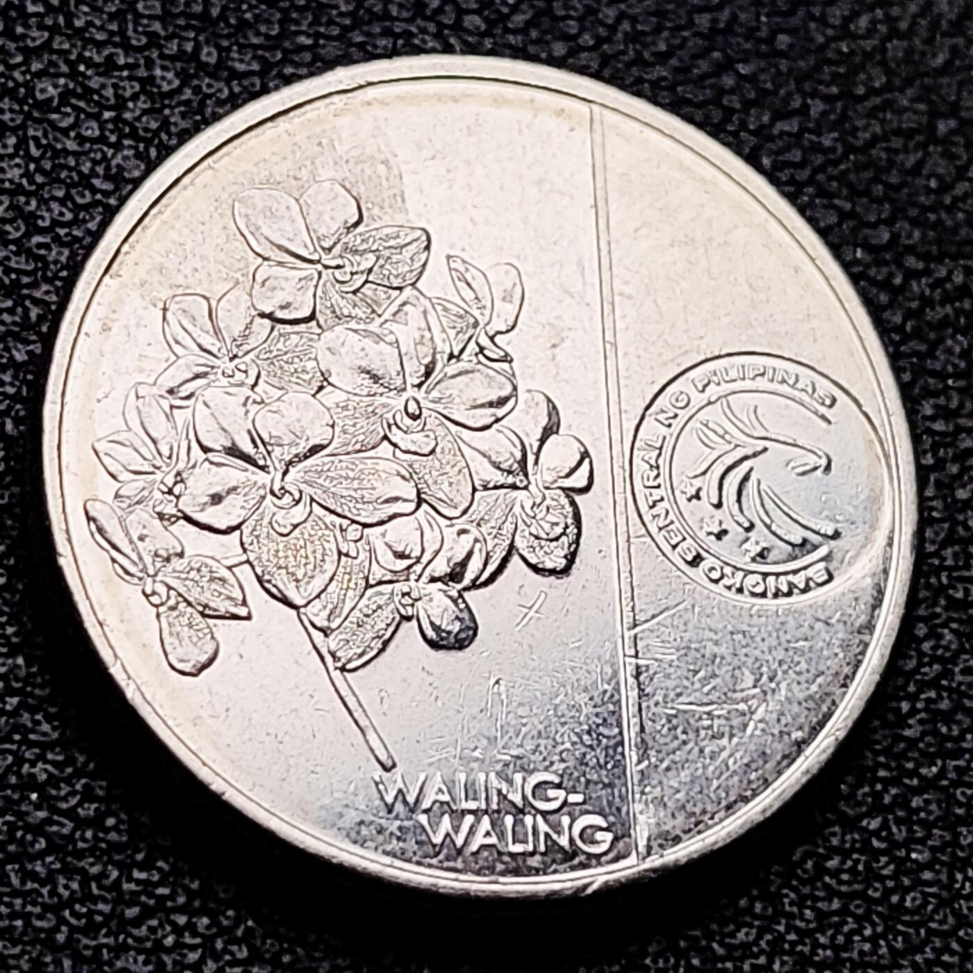 泉币菌-第217场-拍品多 请提前出价 。