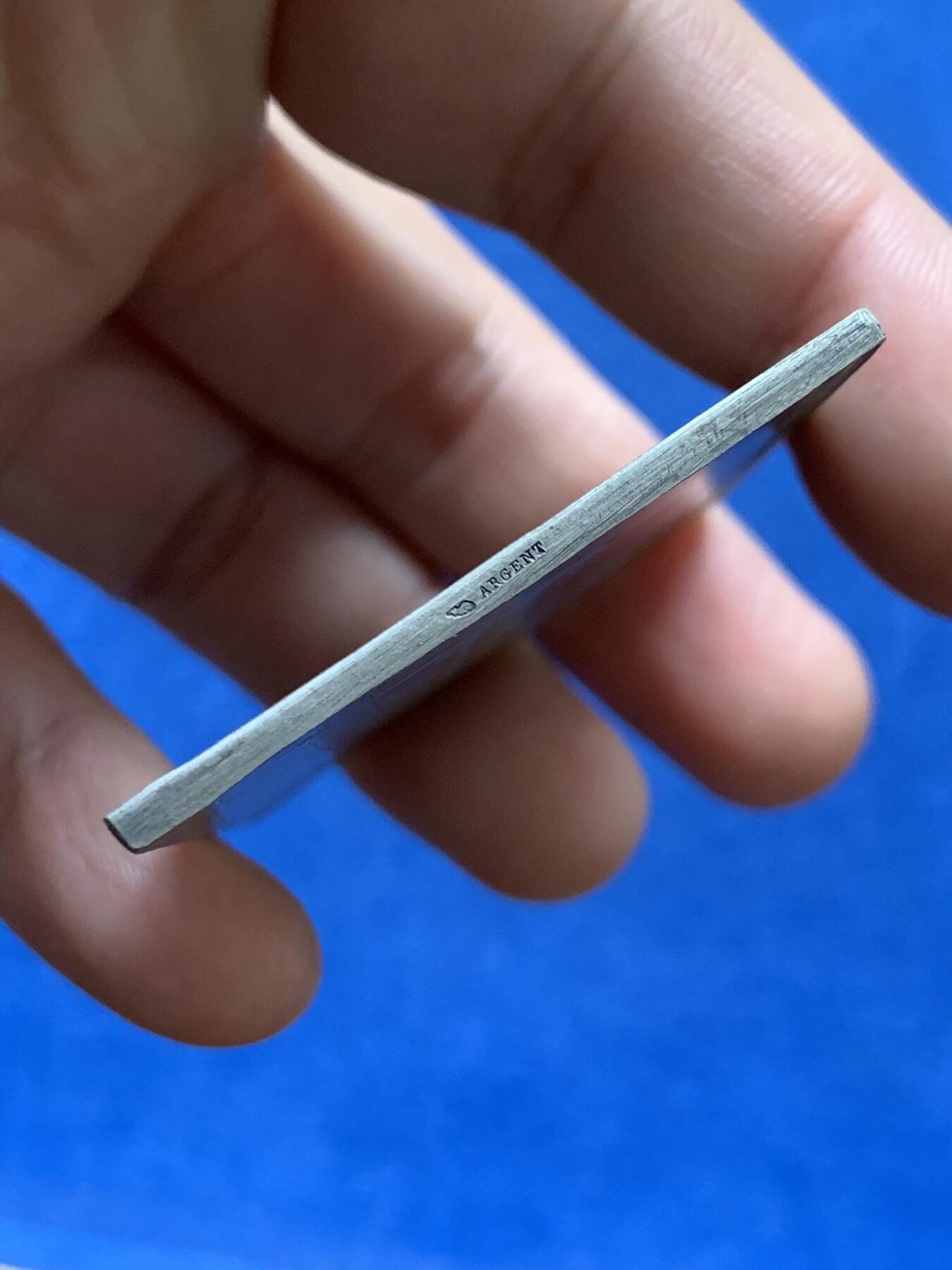 《竞宝斋》第475场 周日，周一 2场连拍 （全场包邮）欢迎送拍 名家罗蒂作 法国里昂地中海铁路公司股东大会纪念方型银章 60克 44.6*59mm 丰饶角银标 好品稀有 细节到位