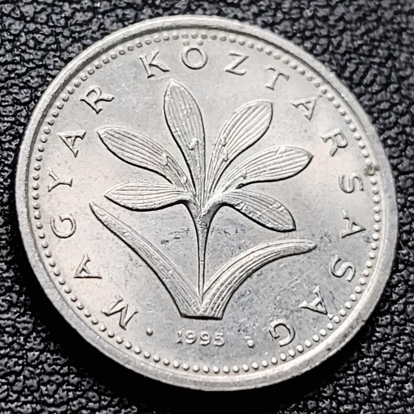 泉币菌-第217场-拍品多 请提前出价 。