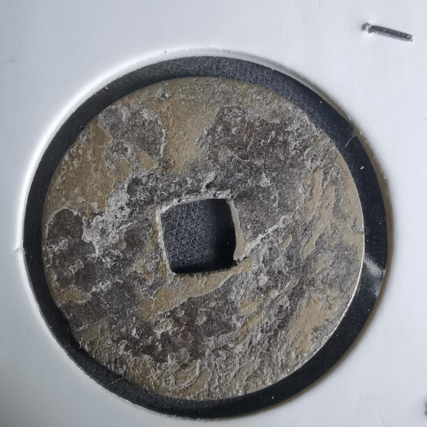 沼泽如烟--第1036场 景兴通宝