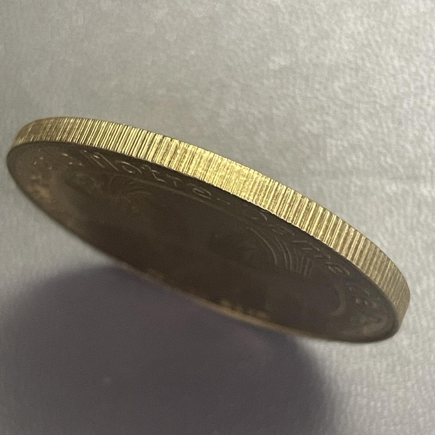 回流0406  巴黎圣母院纪念章（2007年版）