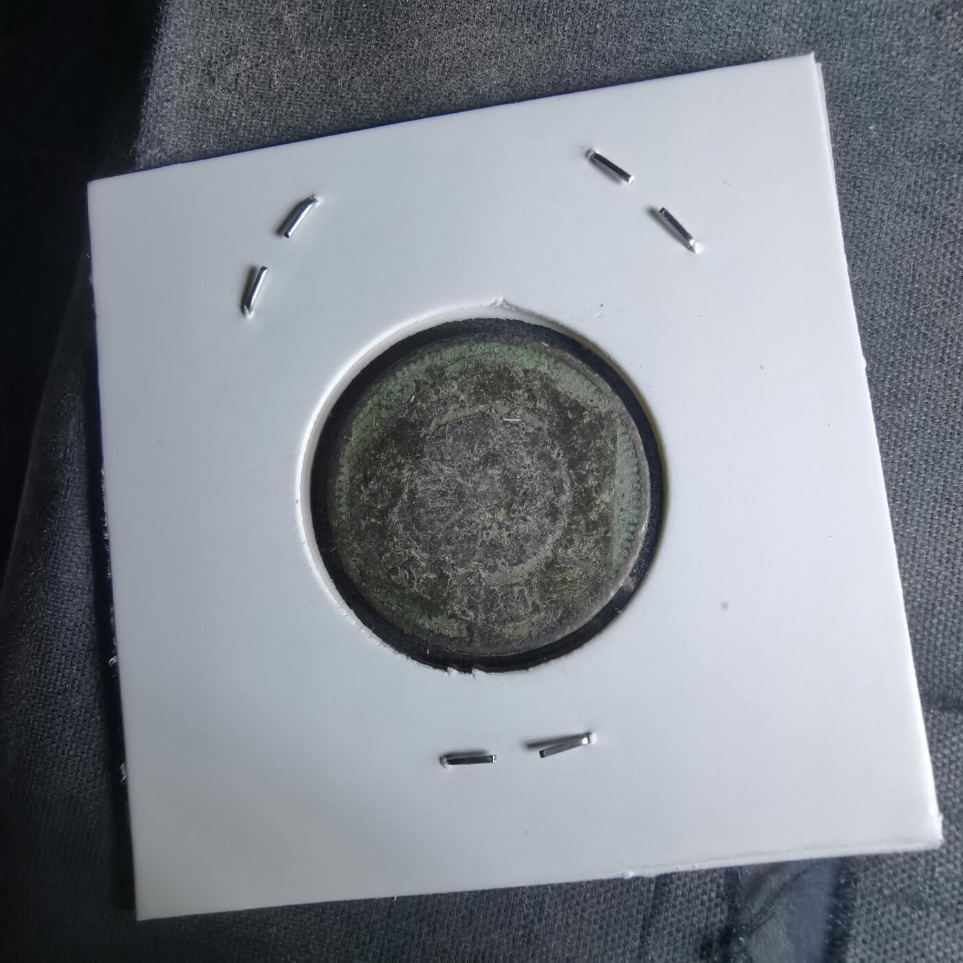 沼泽如烟--第1036场