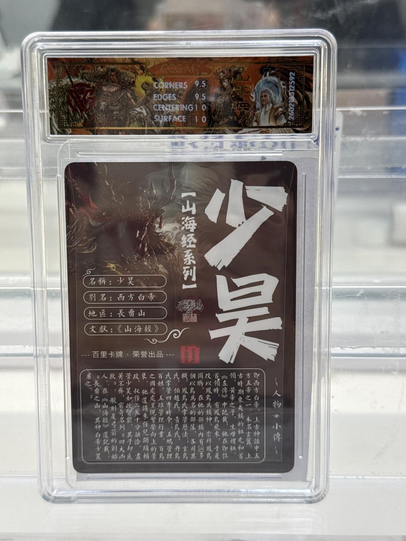 大麦马年第一场