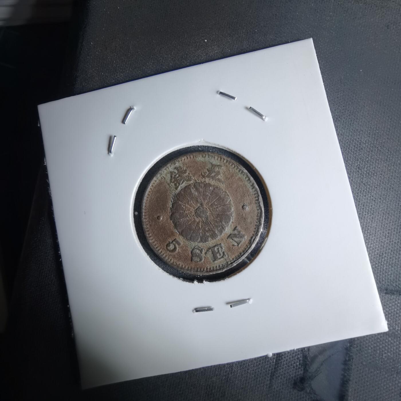 沼泽如烟--第1036场