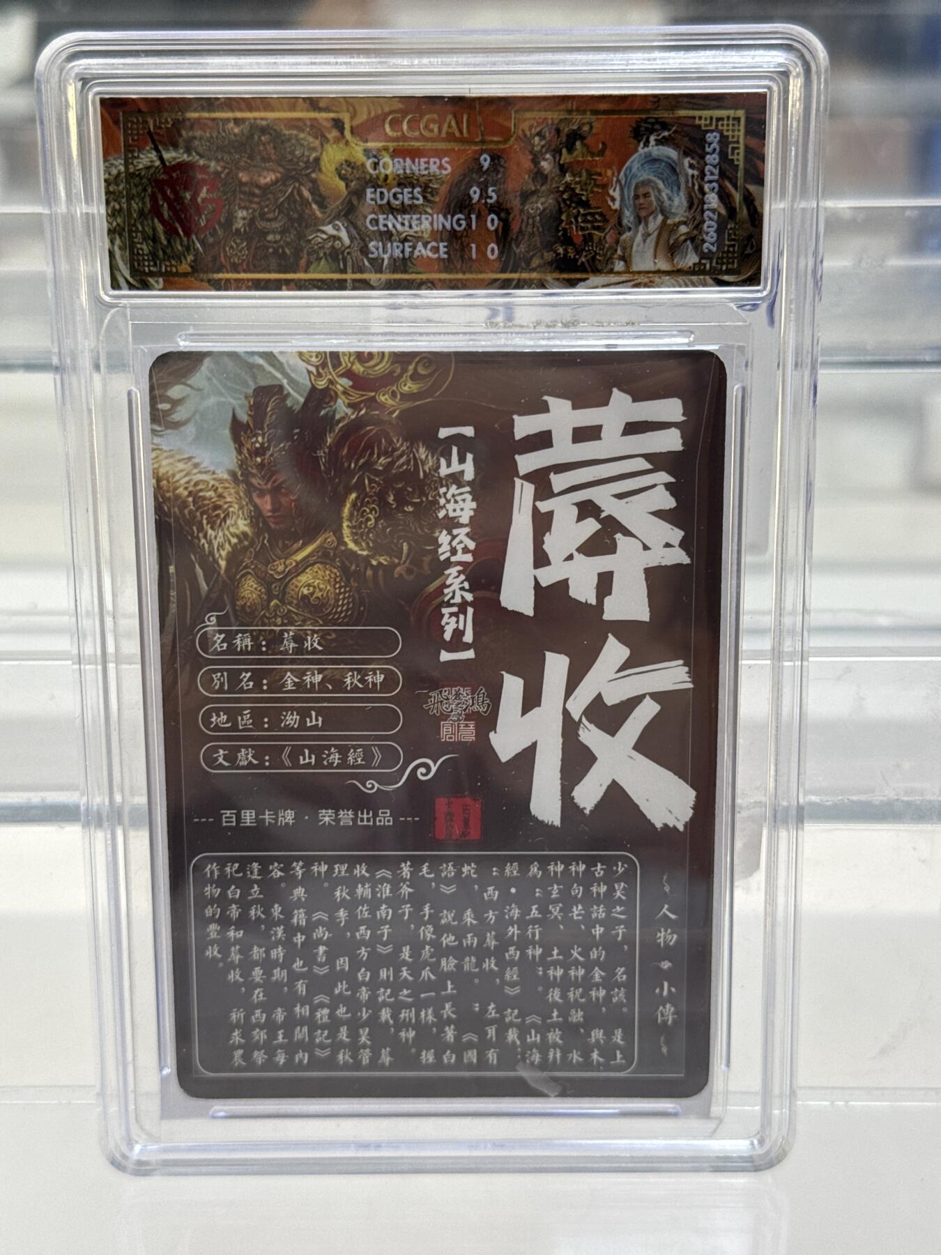 大麦马年第一场