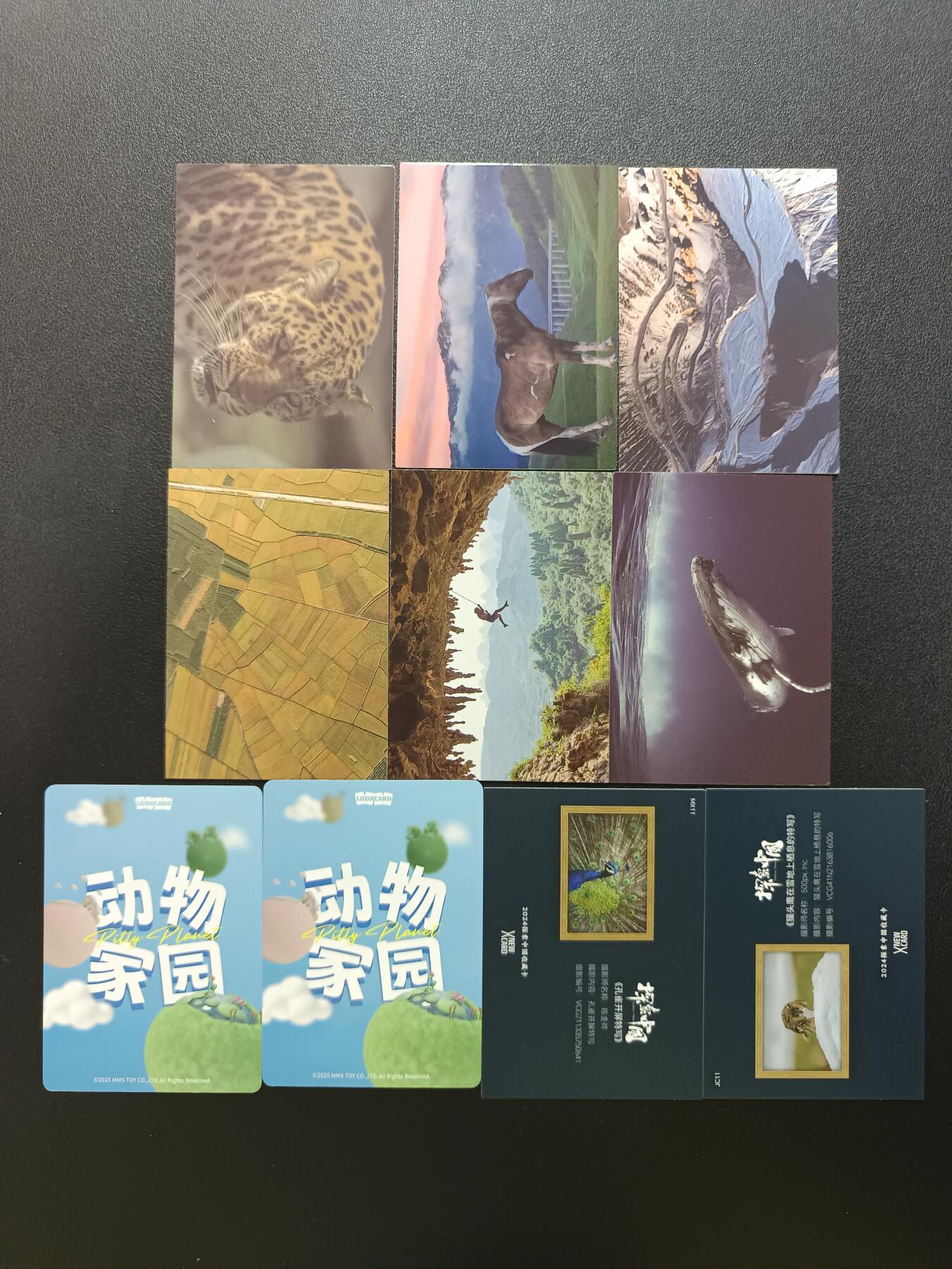 天玑星卡拍第182期《3.30周一截拍》持续收拍收评中 满赠卡需备注