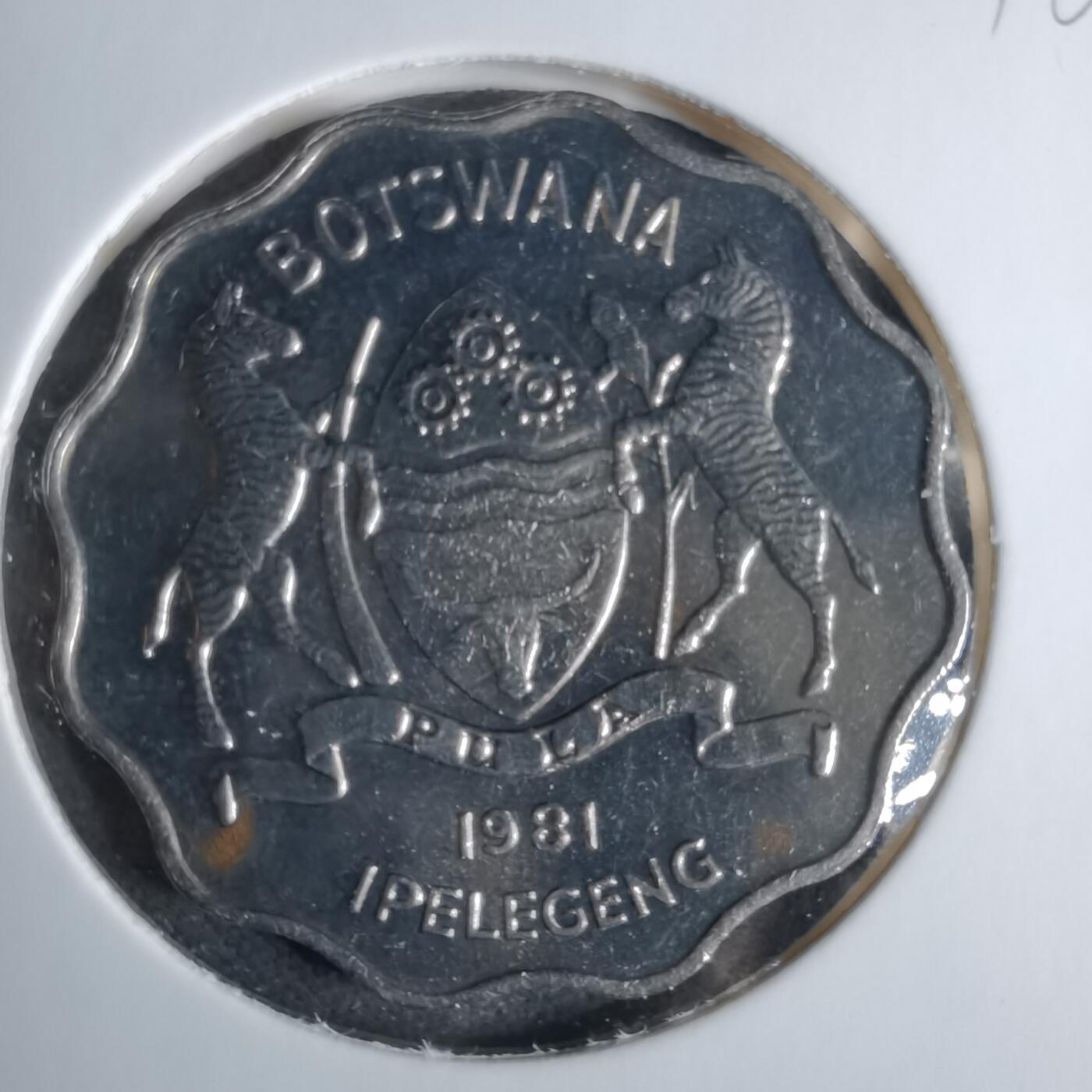 沼泽如烟--第1038场