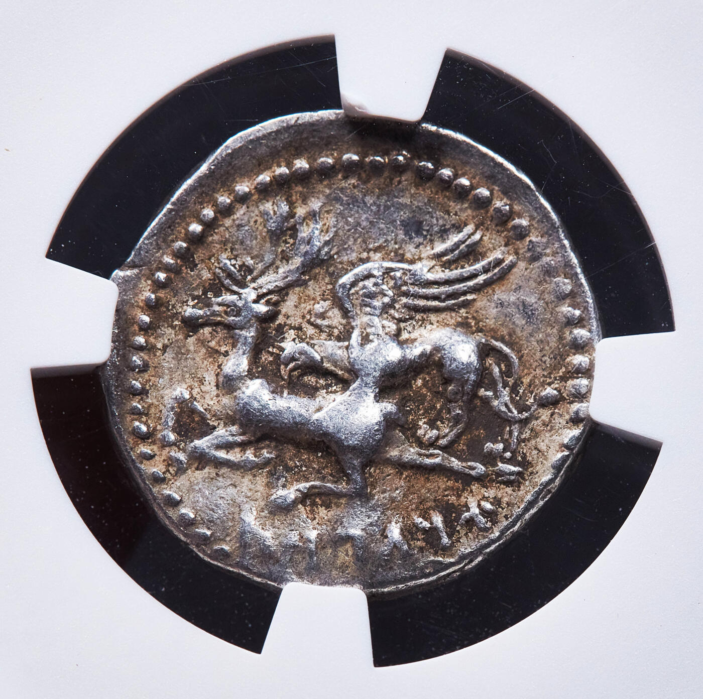 【俄甄集藏】2026年(050)04-01星期三 晚 19:30 全场包邮 古希腊卡帕多奇亚王国公元前333-前322年阿里亚拉特斯一世1德拉克马狮鹫捕鹿银币，NGC VF(Str 3/5, Sur 4/5)，加齐乌拉造币厂打制，正面巴力神手持权杖与葡萄串托鹰坐像，前方一株麦穗，背面狮鹫捕猎雄鹿，打制生动精美，稀有品种，直径：19mm