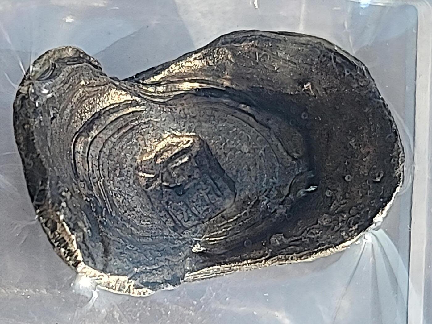 [极美85分，38.1g，金珠挂底]，清代福字一两吉语银锭。壹号评级