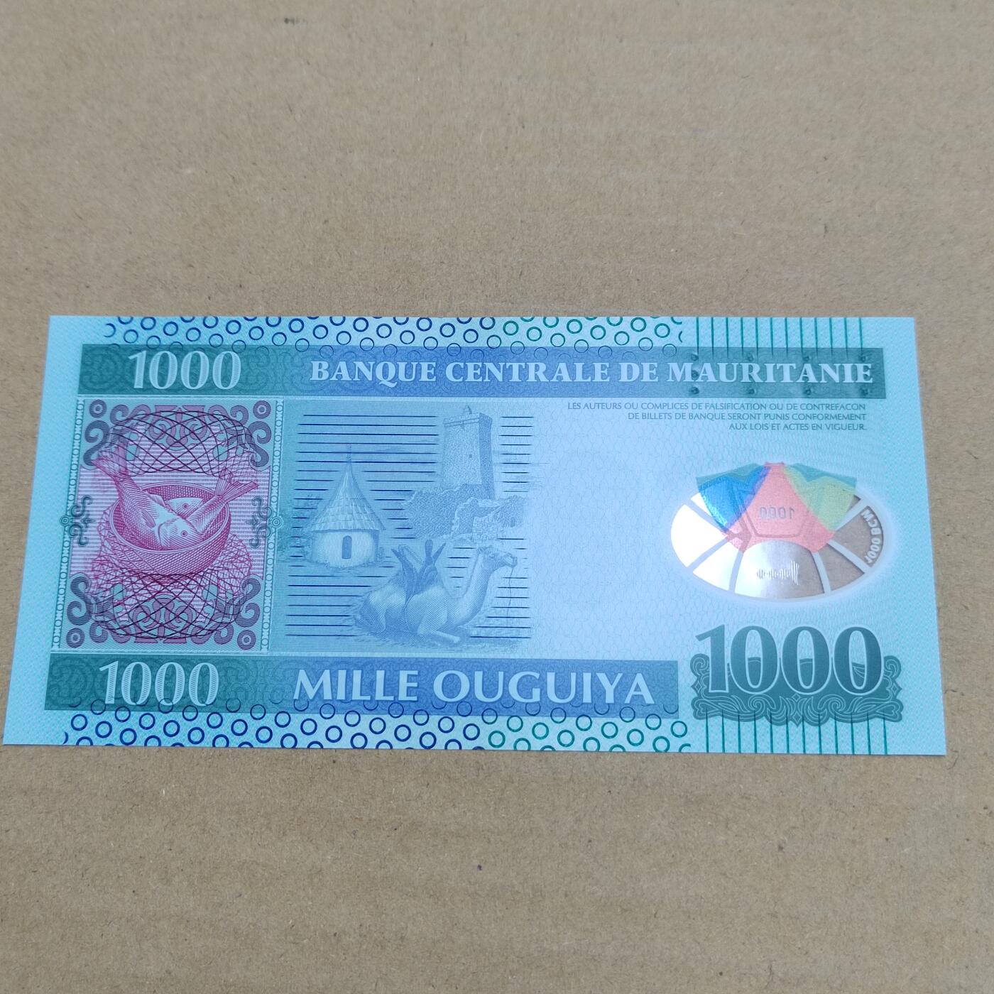 PCAI钱币  29-791  钱币小专场 外币