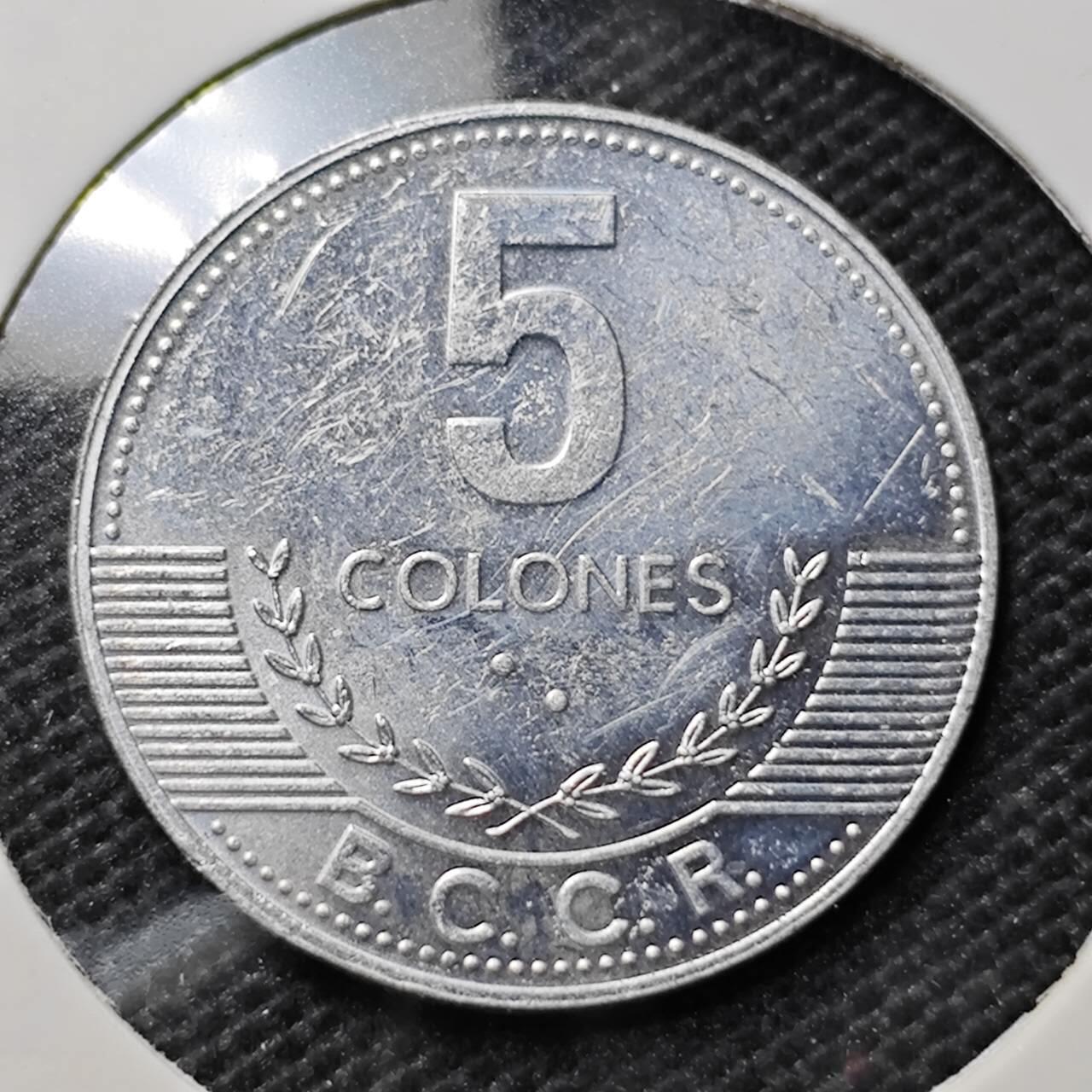 KK钱币收藏小铺  第411期 2月预留时间 周末发货